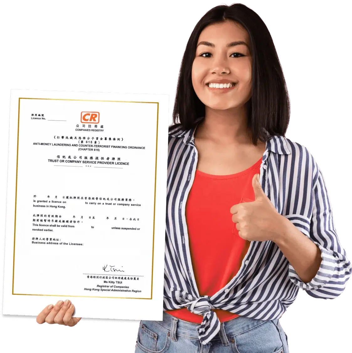 Air Corporate TCSP Licence issued by the Hong Kong Companies Registry