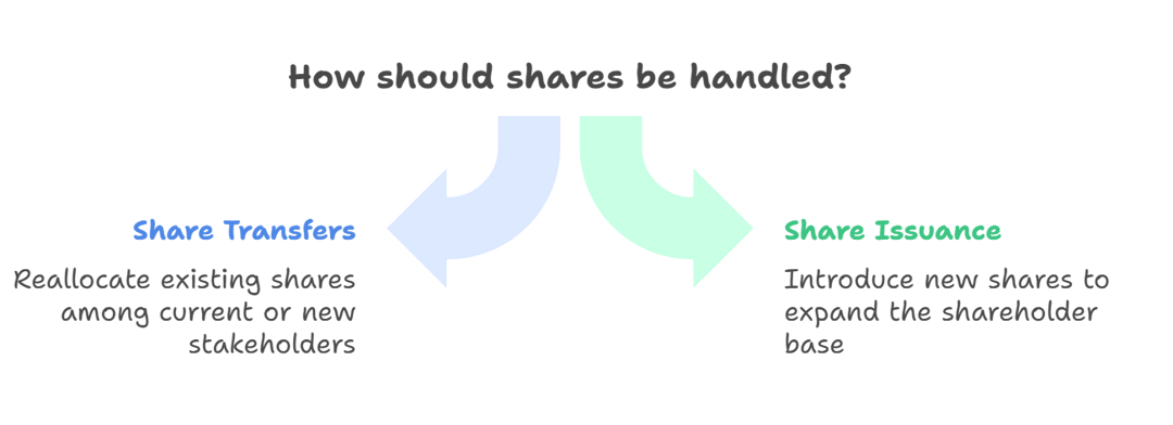 Share Issuance vs. Share Transfer
