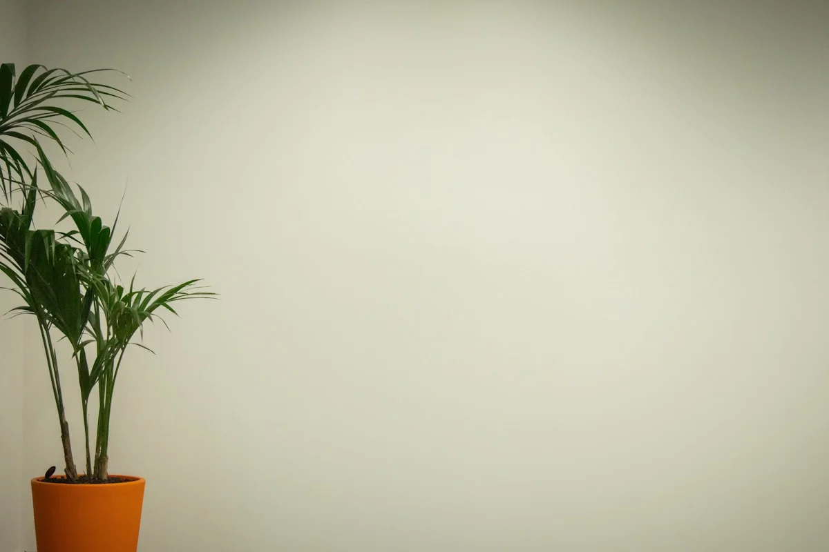 Hong Kong vs Singapore for Business: Which Should You Choose?