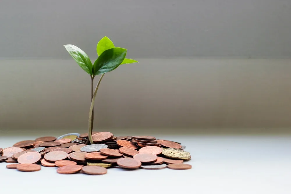 Plant growing from a pile of coins representing low-cost offshore investment
